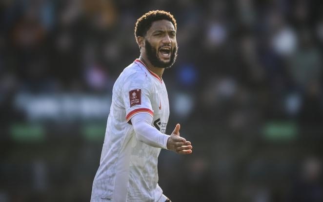 立了专项培 立了专项培