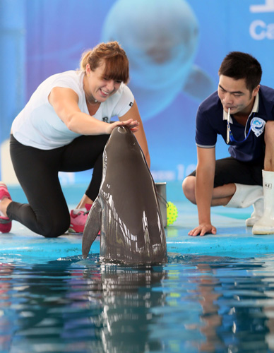 了宝贵经验 了宝贵经验